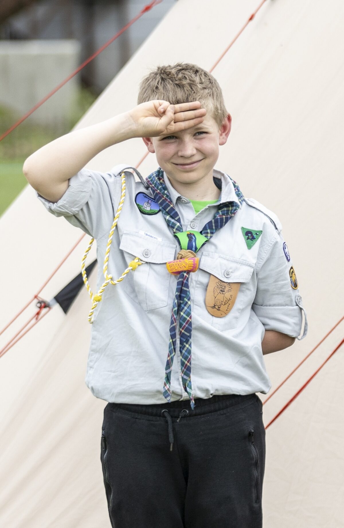 Småspeider hilser