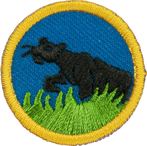 Bagheera merke