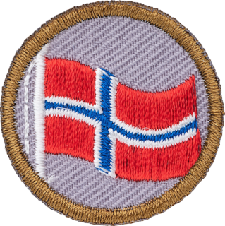 Flagg merke