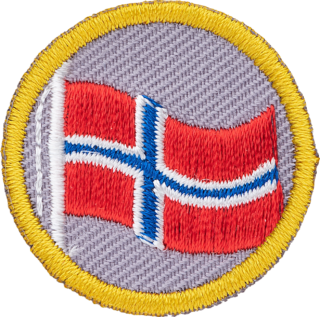 Flagg merke