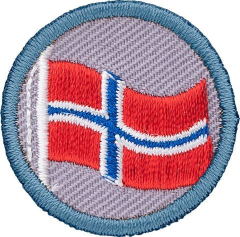 Flagg merke