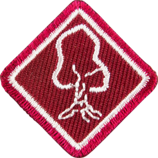 Livskvalitet merke