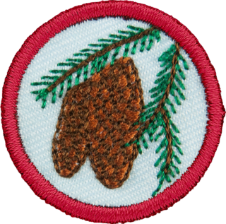 Naturkjennskap (?-2023) merke